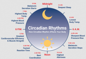 Sleep circadian