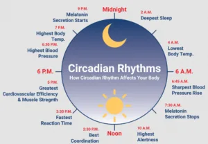 Sleep circadian